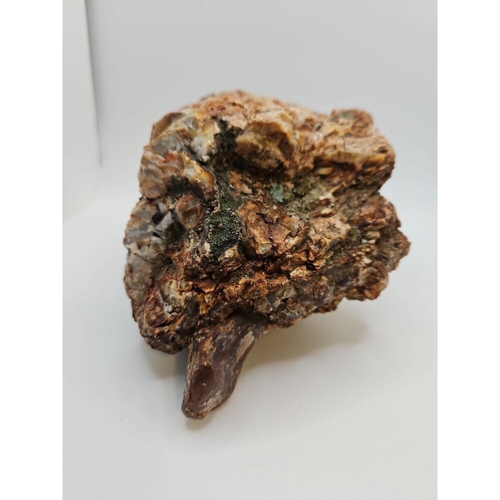 Opalized Agatized Petrified Wood Lapidary  50.9 Oz Common Opal Raw Uncut Display